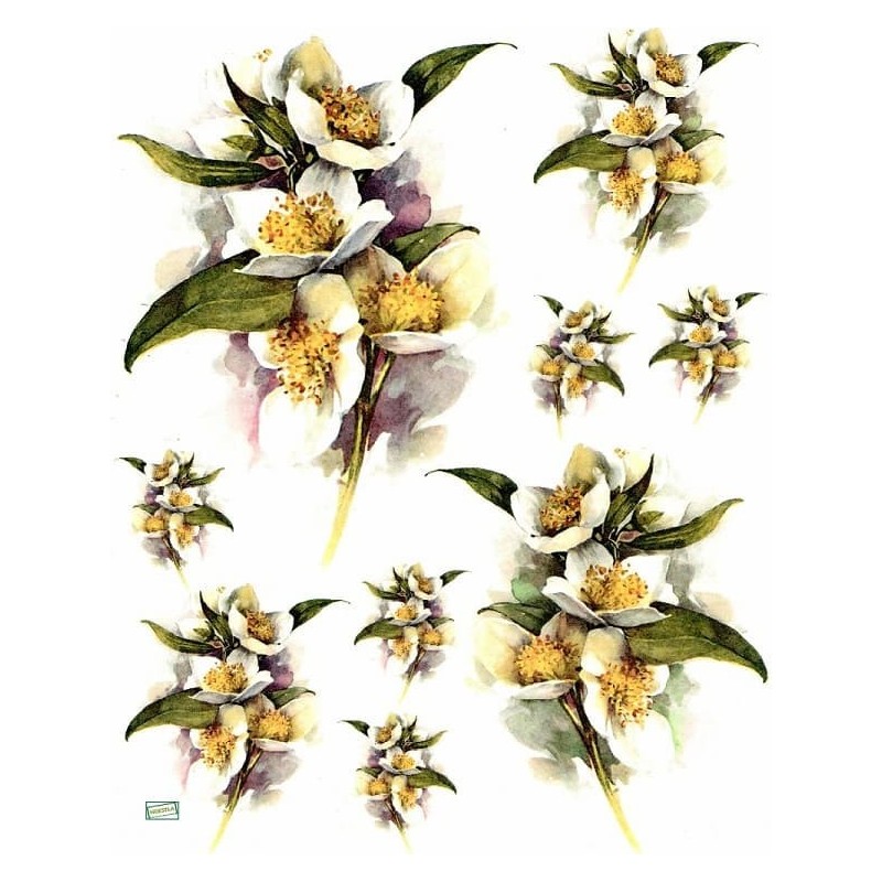 1 papier de riz Fleurs-R387