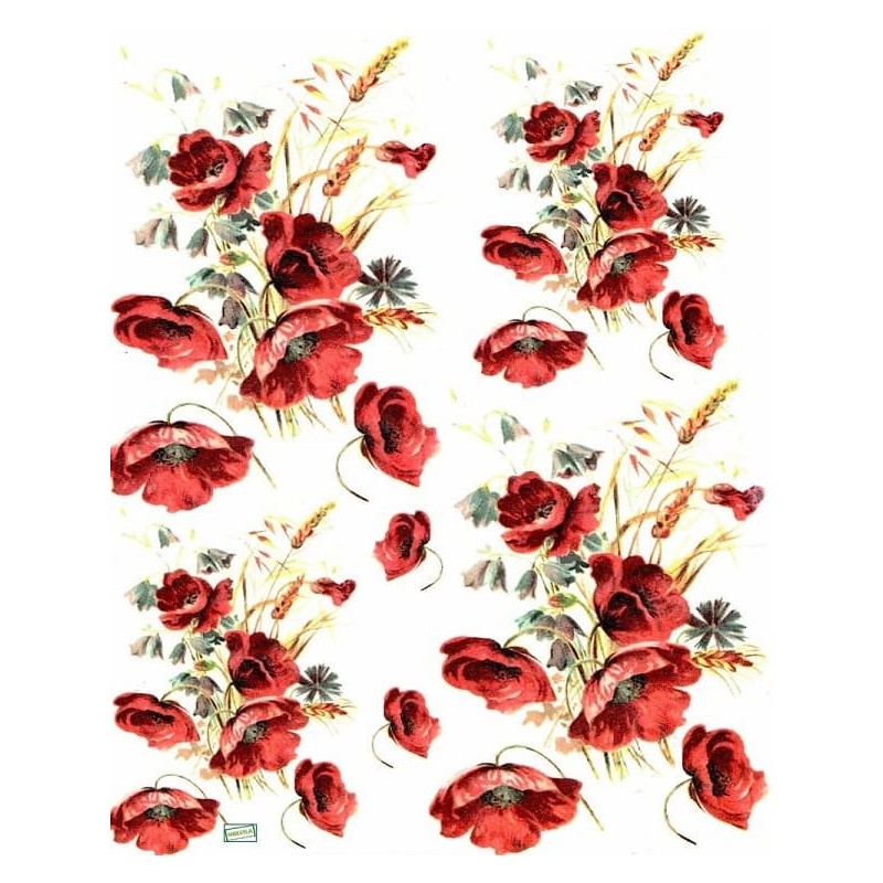 1papier riz Coquelicots-R415