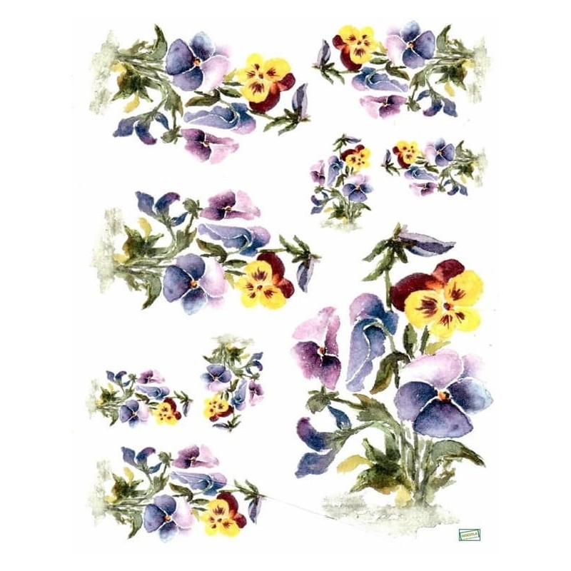 1papier riz Les Pensées-R910