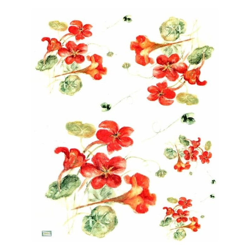 1papier riz Capucines-R914