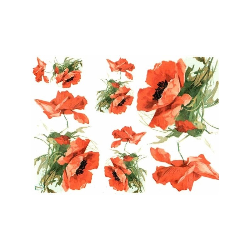 1papier riz Coquelicots-R954