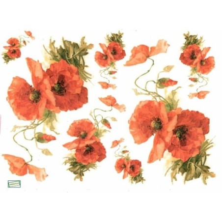 1papier de riz Coquelicots-R958