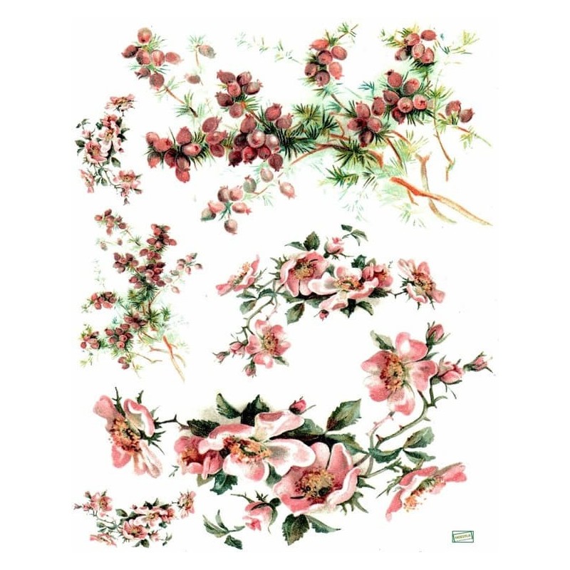 1 papier de riz Fleurs -R964