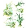 1 papier de riz Muguet-R967