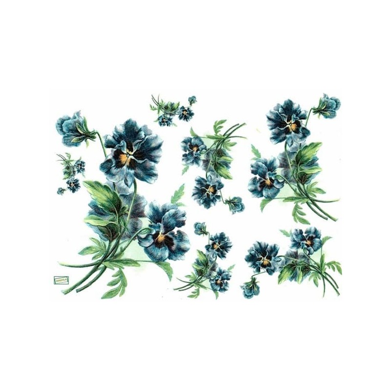 1papier riz Les Pensées-R968