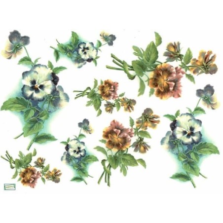 1 papier riz Les Pensées-R969