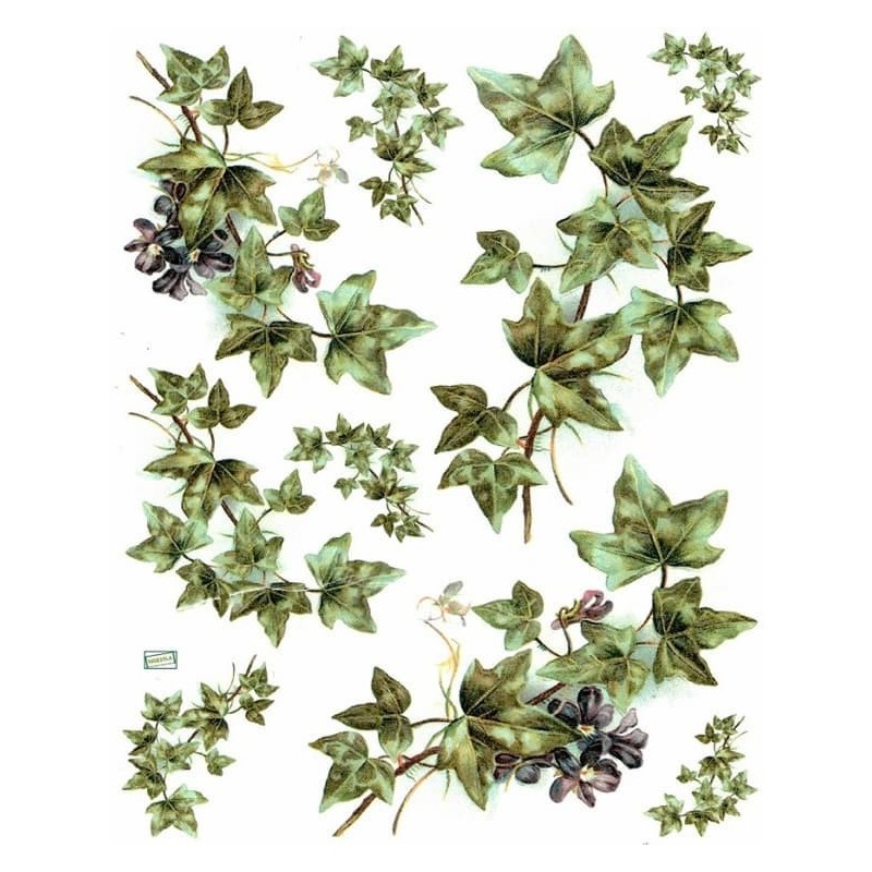 1 papier riz Le Lierre -R970