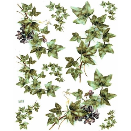 1 papier riz Le Lierre -R970