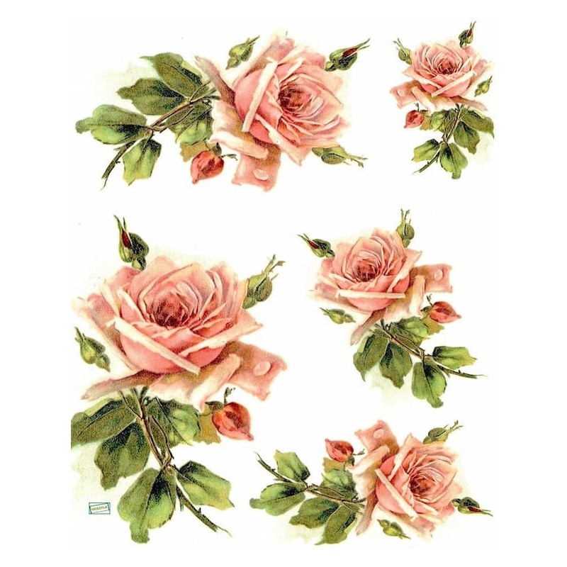 1papier riz Les Roses -R1205