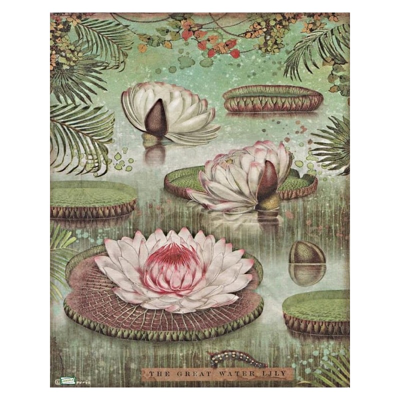 1papier de riz Nénuphars-STA12