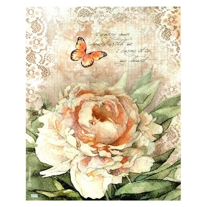 1papier riz La Rose-STA19