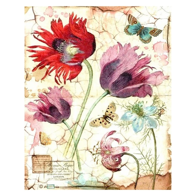 1papier de riz Tulipes-STA22