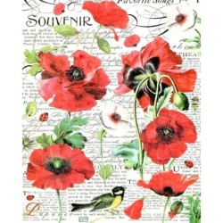 1papier riz Coquelicots-STA25
