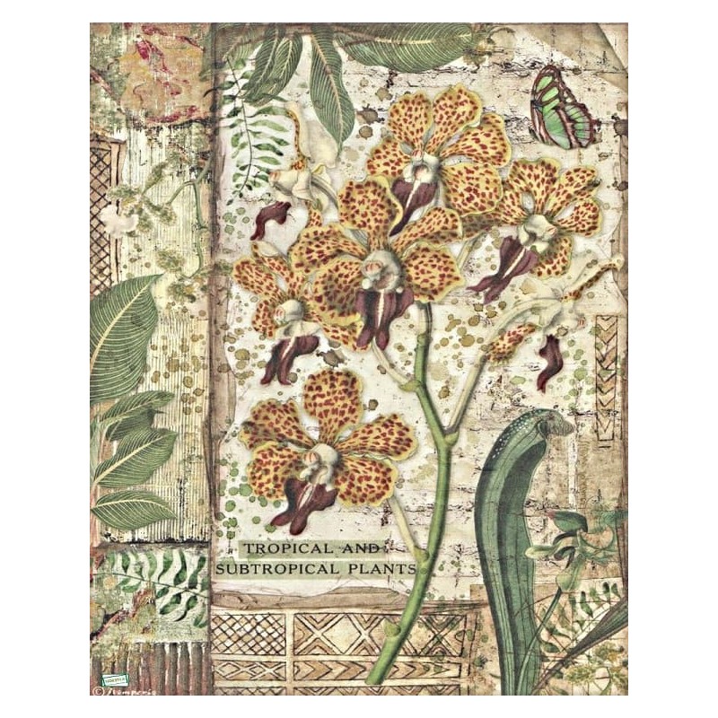 1papier riz Orchidés-STA30