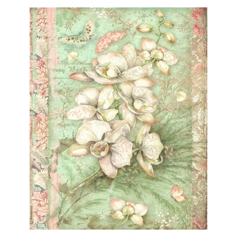 1papier de riz Orchidés-STA33
