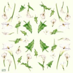 6 papiers de riz Arums-STA69