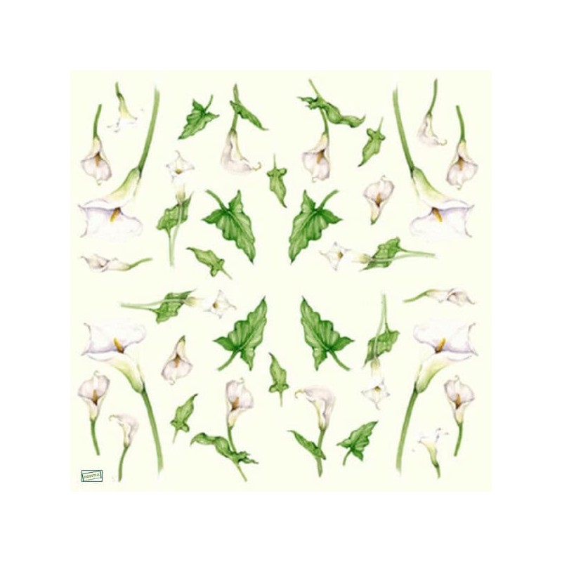 6 papiers de riz Arums-STA69