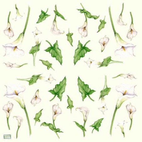 6 papiers de riz Arums-STA69