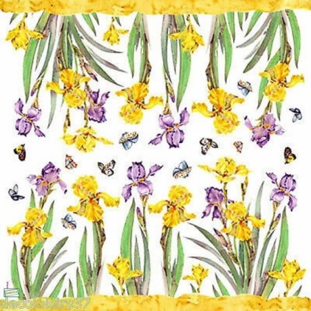 5 papiers  riz Les Iris-STA73