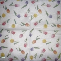 5 papiers riz Tulipes-STA84