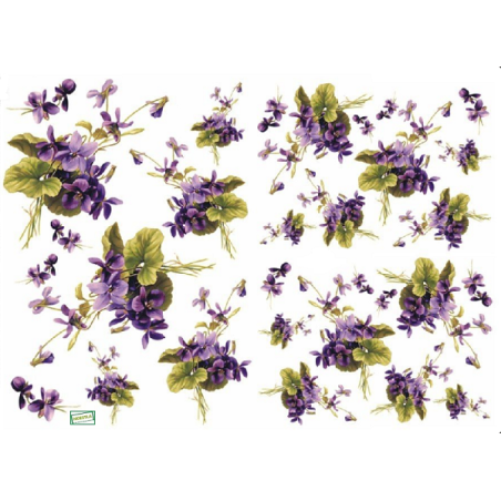 papier découpage Violettes-D329M