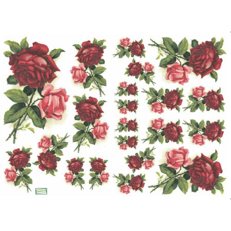 papier découpage Roses-D331