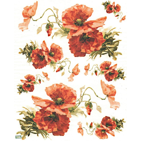 1 papier Coquelicots -S294