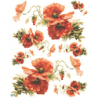 1 papier Coquelicots -S294