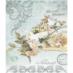 papier découpage Perroquet-S500
