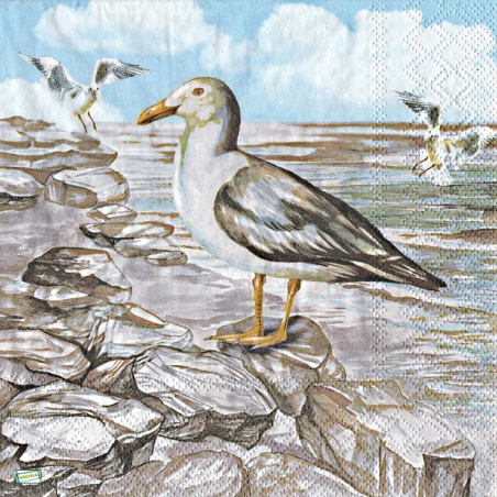 1 serviette papier La Mer-34