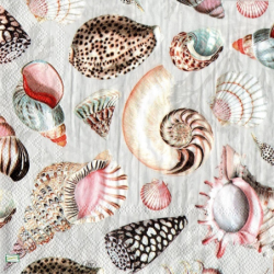 1 serviette Coquillages-43