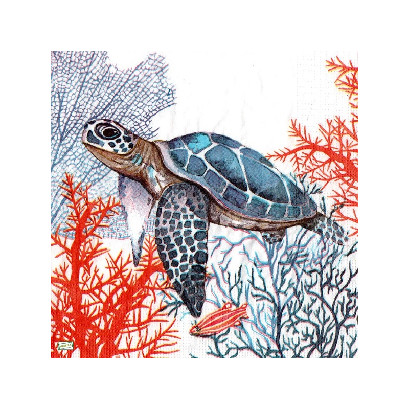 1 serviette Tortue de mer-56