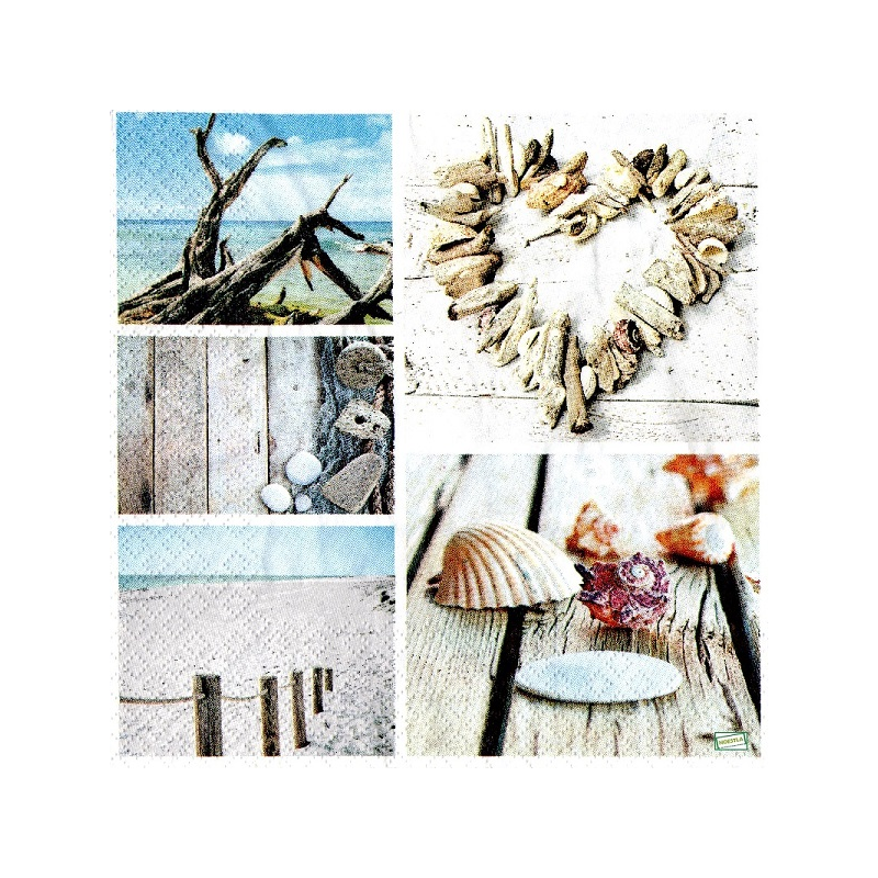 1 serviette Coquillages -59