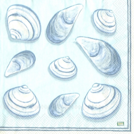 1 serviette Coquillages-44