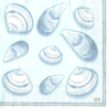 1 serviette Coquillages-44