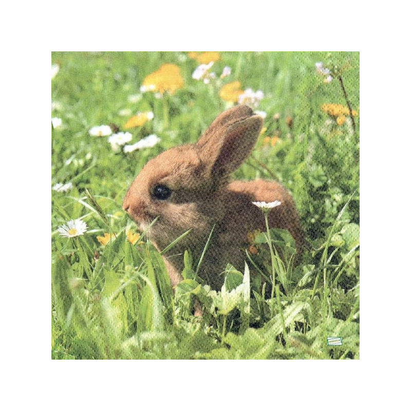 1serviette papier Le Lapin-57