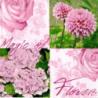 5 serviettes Mix de Fleurs -21