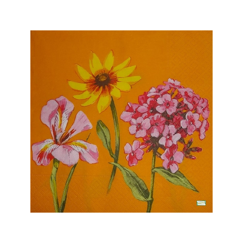 4 serviettes Mix de Fleurs -23