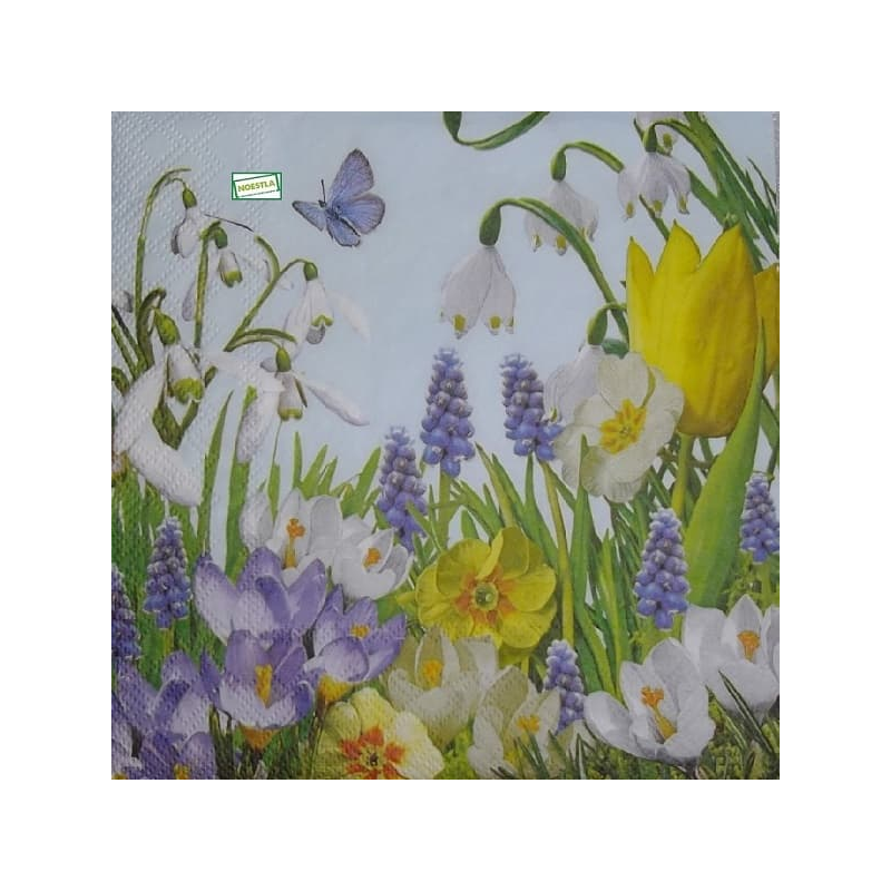 1serviette Fleurs clochettes-46