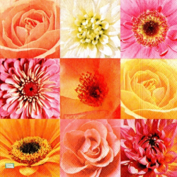 4 serviettes Mix de Fleurs -70