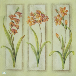 4 serviettes Mix de Fleurs -119