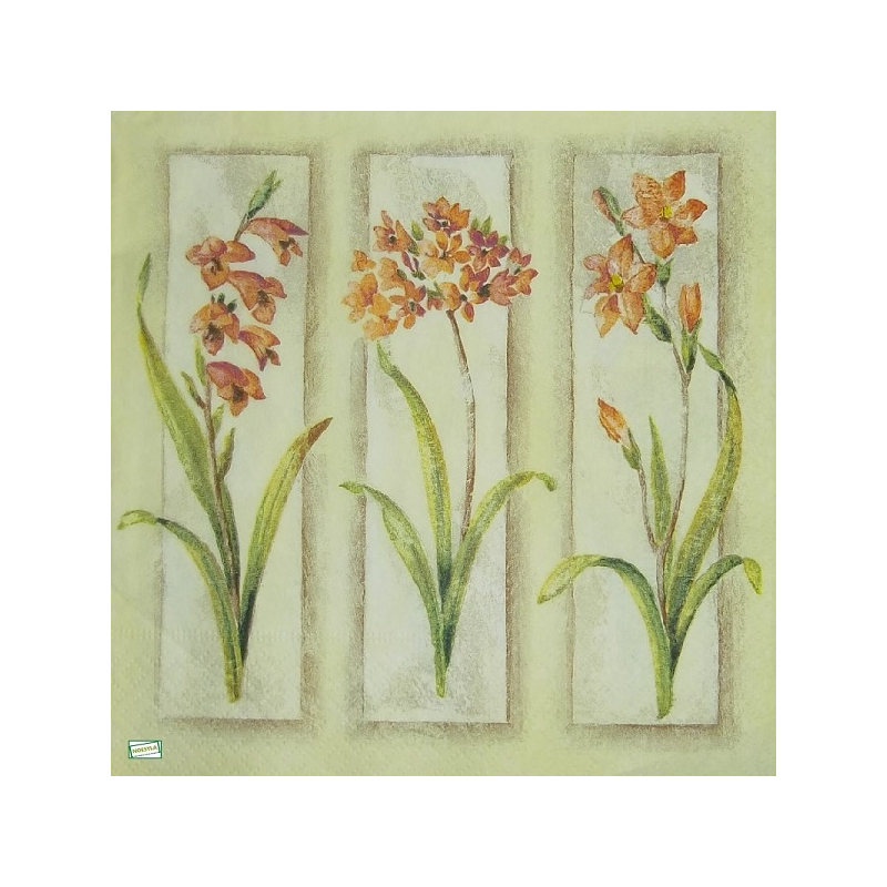 4 serviettes Mix de Fleurs -119