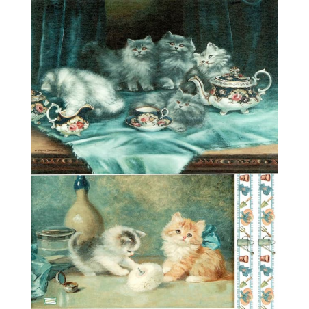 1 papier de riz Chats - BMET2