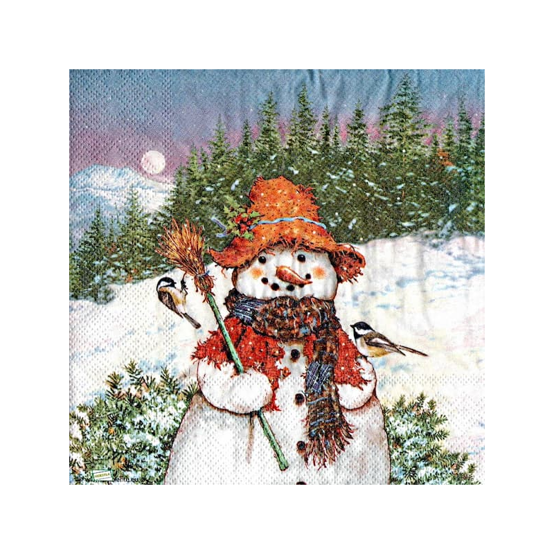 serviette Bonhomme de Neige-23