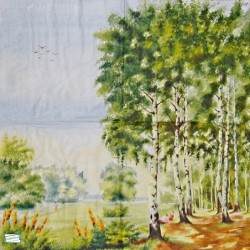 1 serviette papier Nature -60