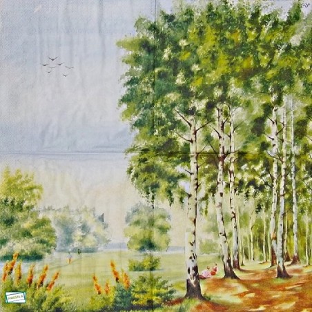 1 serviette papier Nature -60