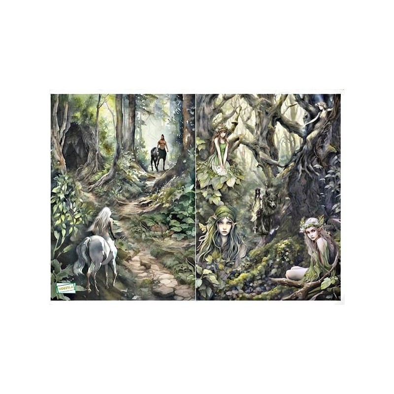 1 papier de riz Les Fées-R2324