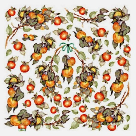 2 papiers riz Les Oranges -STA8