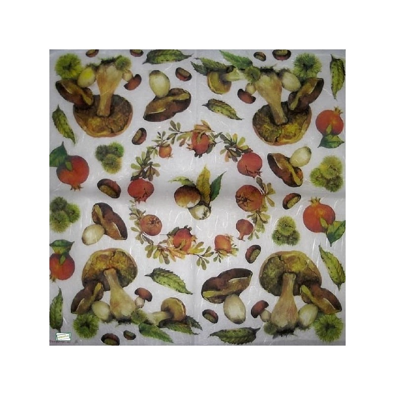 2 papiers riz Champignons -STA9