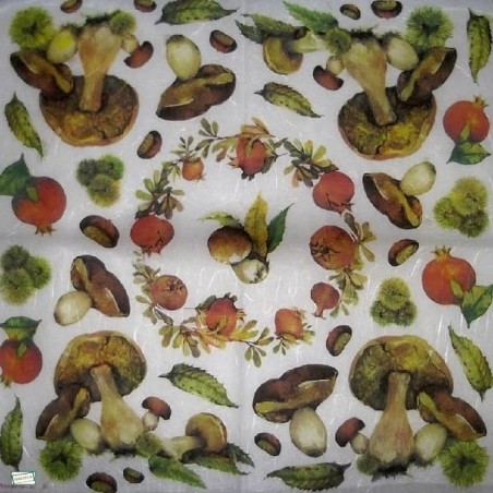 2 papiers riz Champignons -STA9